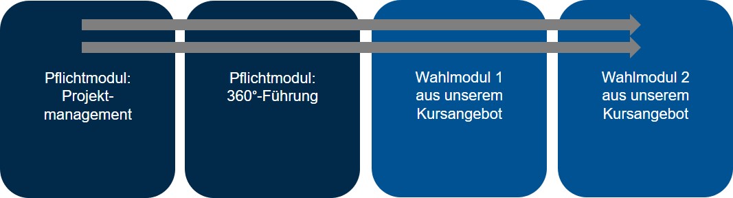 Abbildung Zertifikatsprogramm Effektives Wissenschaftsmanagement: ProMi