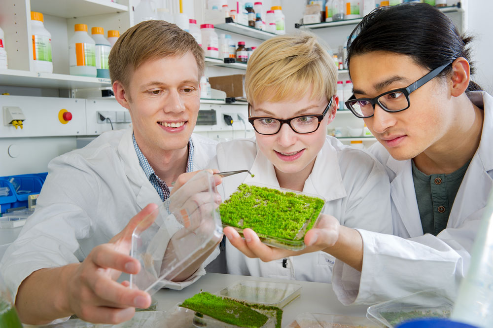 Three iGEM-Team members