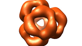 Proteinkomplex des αB-Crystallins Proteinkomplex des αB-Crystallins