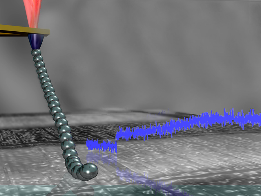 Eine Polymerkette wird mit der Spitze eines AFM über die Oberfläche gezogen Eine Polymerkette wird mit der Spitze eines AFM über die Oberfläche gezogen