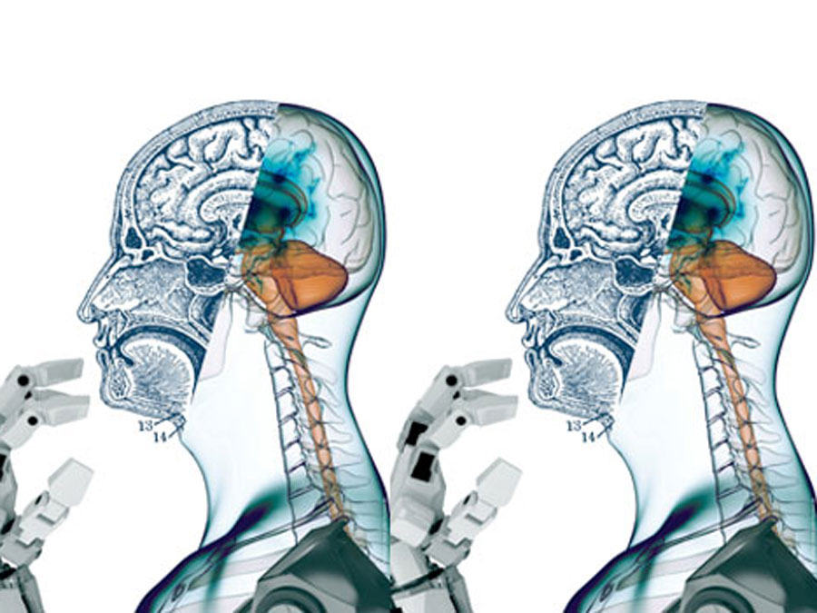 Cross section through a human being with a robot hand