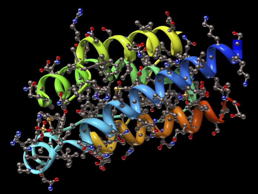 Proteins such as the Interleukin-2 molecule depicted here can occur in diverse variants and with functioinal limitations, many of which are tolerated by the human system.