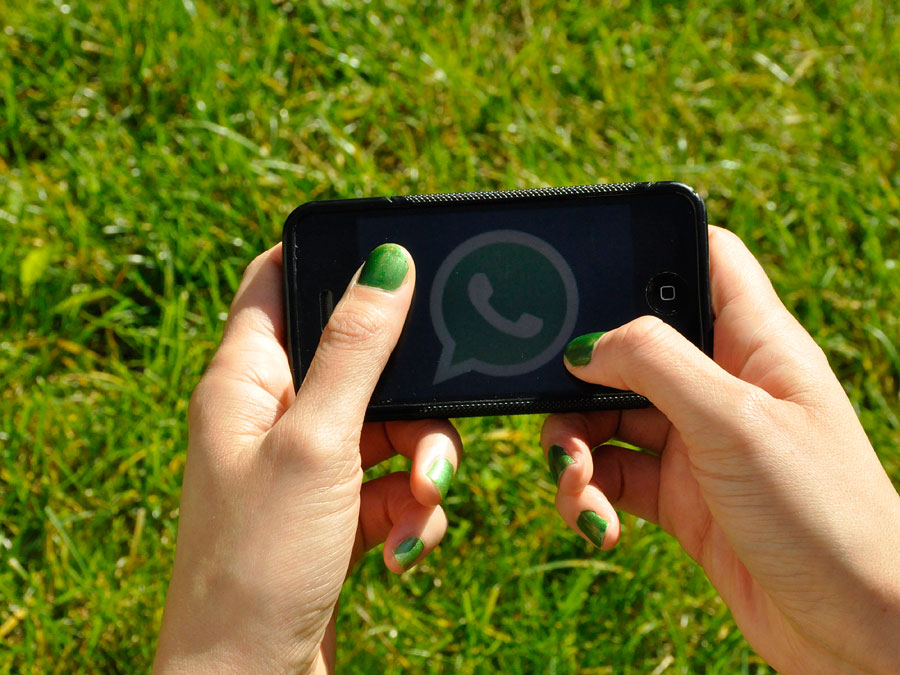 WhatsApp logo on smartphone WhatsApp logo on smartphone