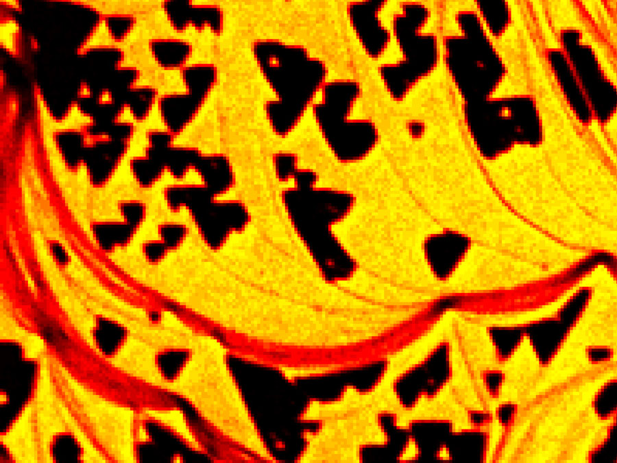 Adsorbed oxygen forms dark islands on a silver surface – Image: Prof. Dr. S. Guenther / TUM Adsorbed oxygen forms dark islands on a silver surface – Image: Prof. Dr. S. Guenther / TUM
