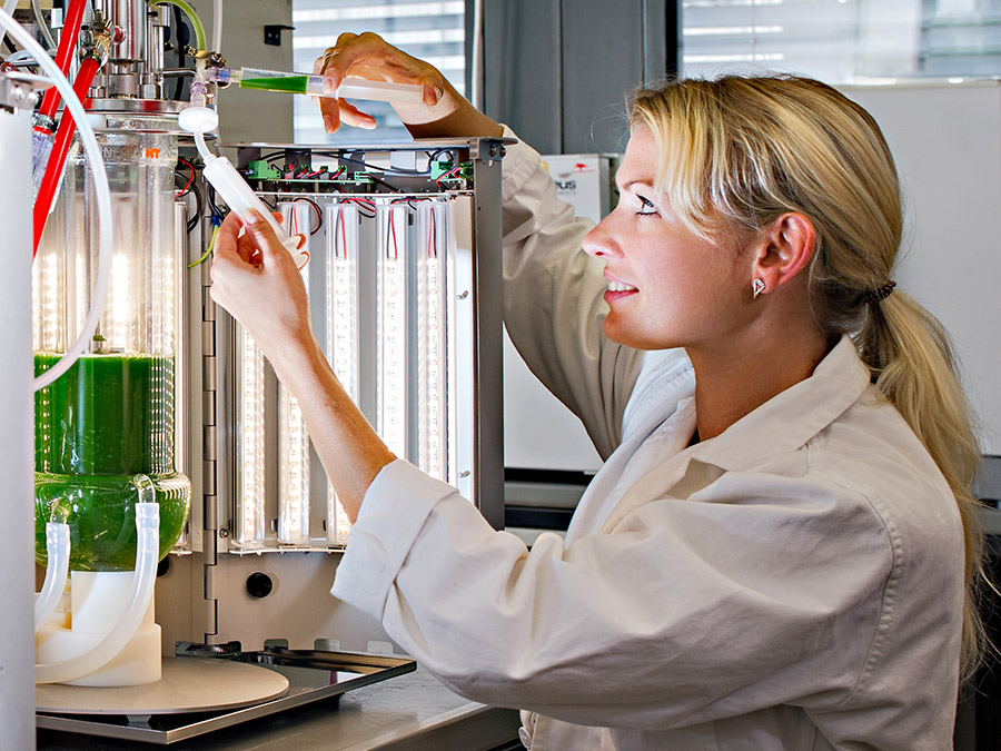 Student Olga Shostak at the LED-bioreactor - Photo: Andreas Heddergott / TUM