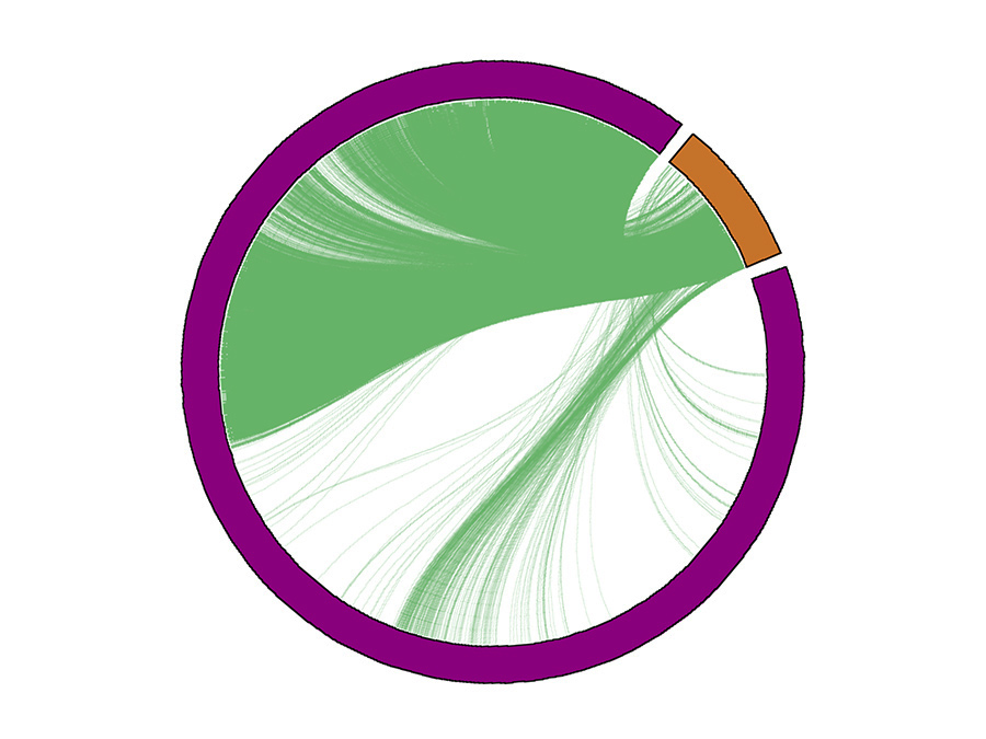 Mehr als 40% aller Gene im Experiment korrelierten mit einem kleinen Satz bekannter Zellzyklus-Marker (orange) - Grafik: Florian Büttner