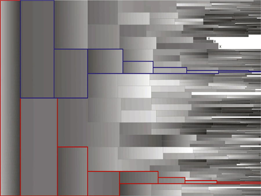 NANOG-concentration of eight cell generations (white: high, black no NANOG, x: cell deceased) Image: Carsten Marr / TUM/HMGU NANOG-concentration of eight cell generations (white: high, black no NANOG, x: cell deceased) Image: Carsten Marr / TUM/HMGU
