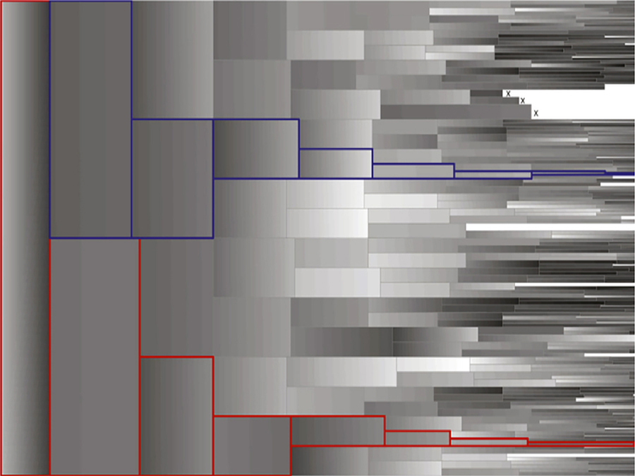 NANOG-concentration of eight cell generations (white: high, black no NANOG, x: cell deceased) ­ Image: Carsten Marr / TUM/HMGU