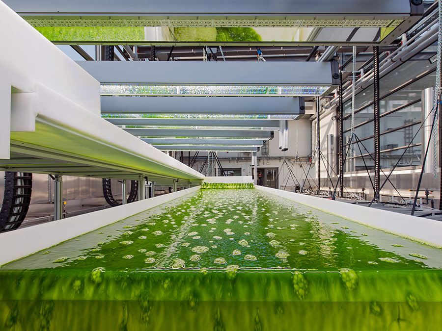 Das neue Algentechnikum auf dem Ludwig Bölkow Campus in Ottobrunn – Foto: Andreas Heddergott / TUM