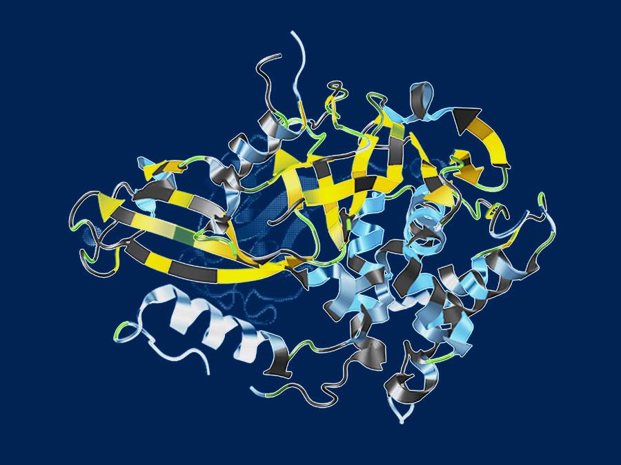 Nicht für alle Proteine ist die dreidimensionale Struktur bekannt.