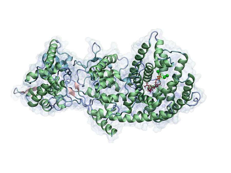 Taxadien synthase with the substrat geranylgeranyldiphosphat in the active center of the enzyme. The green dots mark the catalytically relevant Mg2+-ions, which are involved in the inititial hydrolysis of the phosphate residue. - Image: Max Hirte / TUM