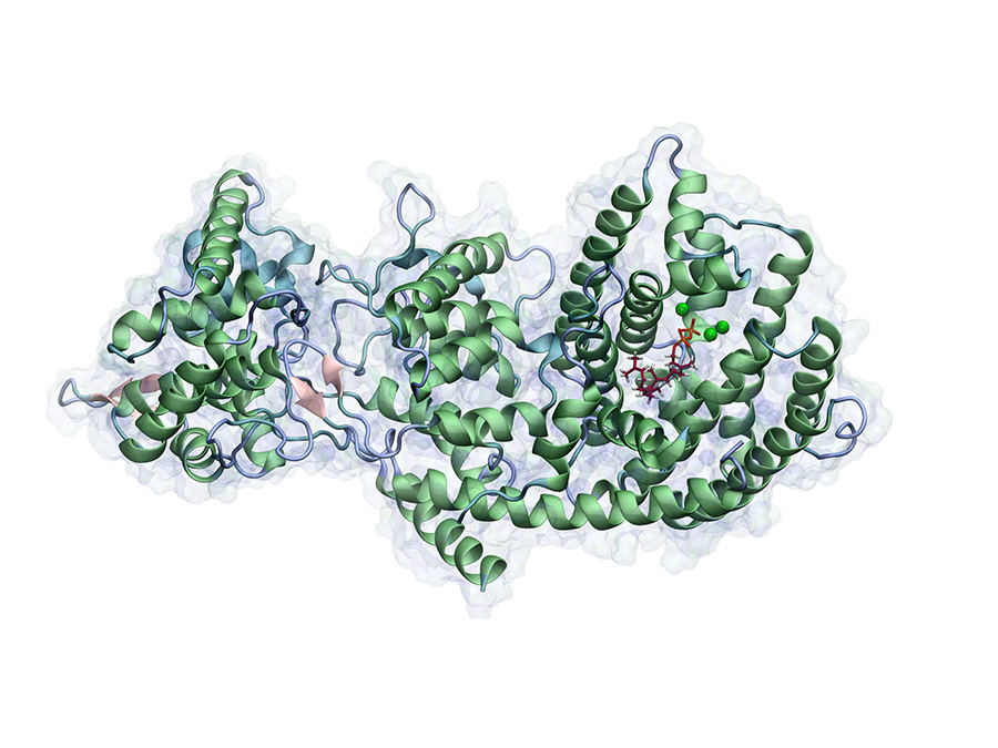 Taxadien Synthase mit dem Substrat Geranylgeranyldiphosphat in der aktiven Tasche des Enzymes. Die grünen Punkte zeigen die katalytisch relevanten Mg2+-Ionen, die an der inititialen Hydrolyse des Phosphatrestes beteiligt sind. - Bild: Max Hirte / TUM