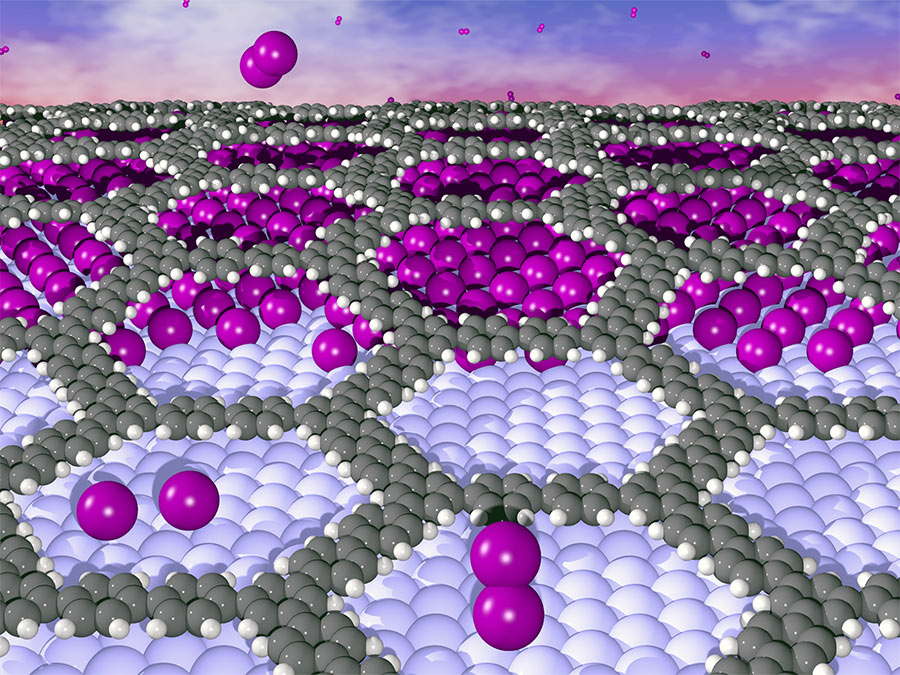 The illustration shows how iodine (purple) is embedded between the organic layer and the metal, thus reducing adhesion. Credit: IFM, University of Linköping