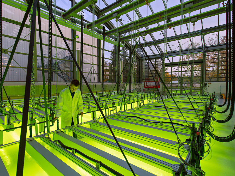 Collaborations between researchers in engineering and natural sciences are one of TUM's strengths. In the AlgaeTec facility, new fuels are being developed. (photo: Heddergott / TUM) TUM's AlgaeTec facility