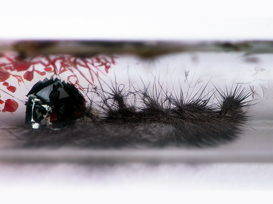 Needles of the flexible semiconducting material SnIP; on the left side residual black phosphorus and tiniodide (red)