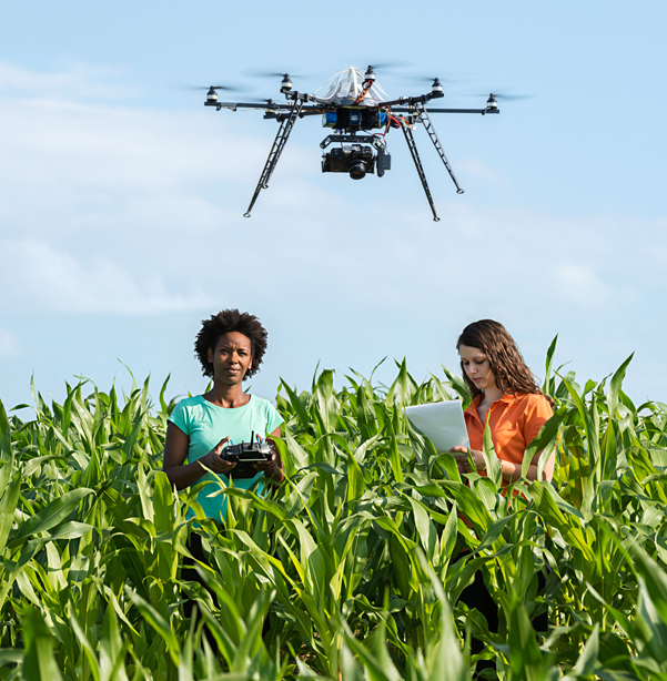 Studentinnen der Agrarwissenschaften arbeiten für ein Forschungsprojekt mit einer Drohne im Maisfeld. (Foto: U. Benz/ TUM)