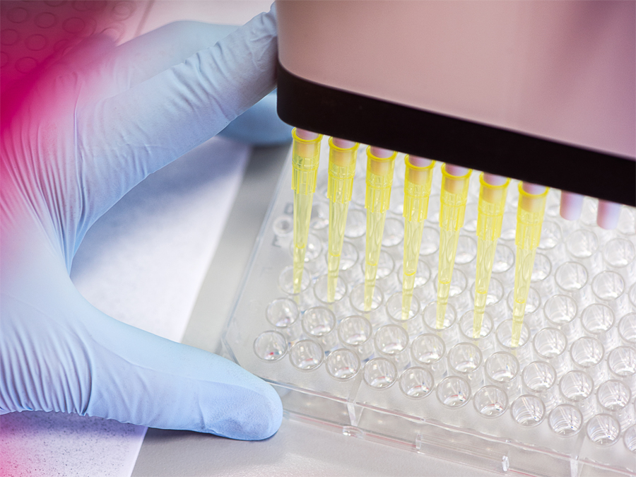 Ein Team der TUM und des Max-Planck-Instituts für Biochemie hat eine neue Methode entwickelt um Antikörper für Krebstherapien zu identifizieren. (Bild: A. Hedderrgott / TUM) Ein Labortest