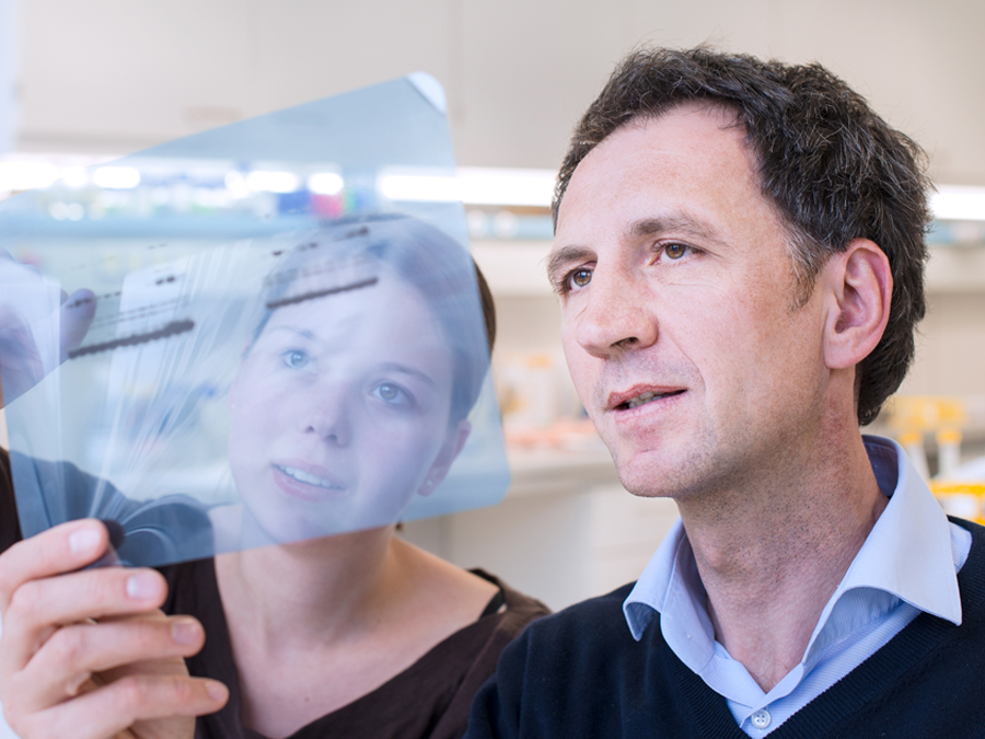 Professor Jürgen Ruland and a member of his team looking at lab results.