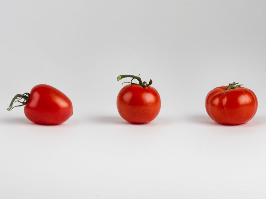 Natur oder Technologieprodukt? Dieser Unterschied verwischt immer häufiger. (Bild: J. Kleinert / TUM) drei Tomaten