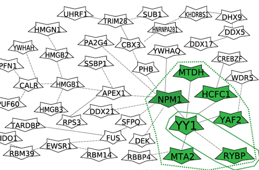 The team used highly sensitive mass spectrometric methods to identify previously unknown proteins and protein complexes, whose binding to DNA is influenced by SNPs. (Photo: Fig. A page 40/CC-BY-NC License only)