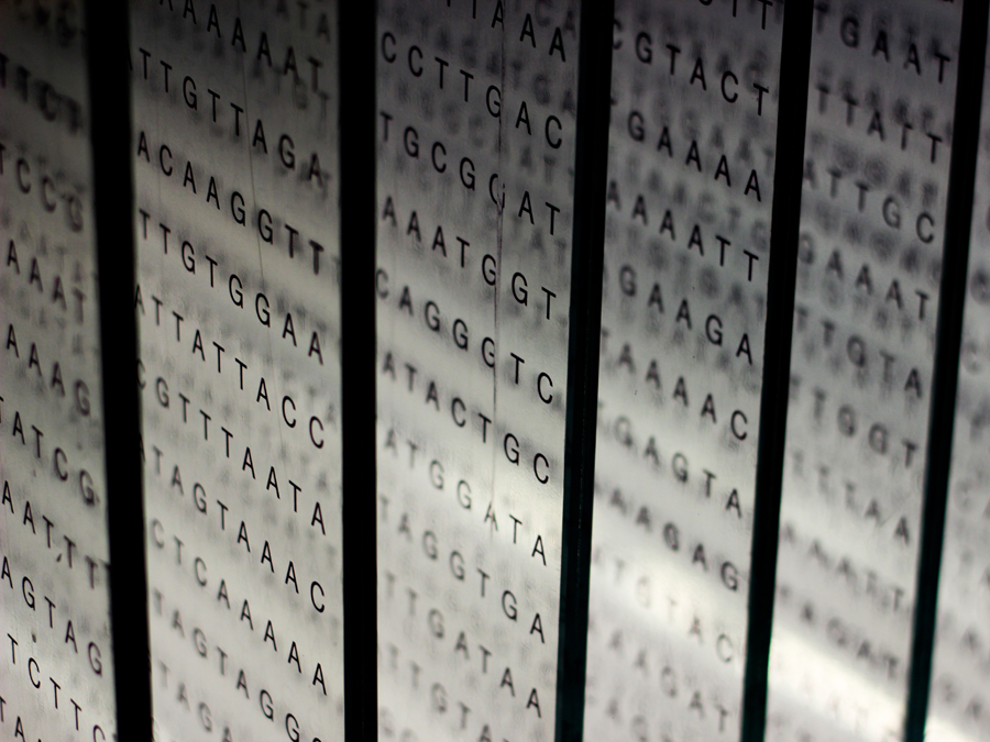 A visualization of the base pairs in the human genome consisting of several rows of the letters G, A, T, and C.