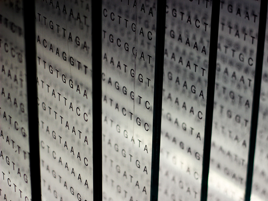 Das Erbgut des Menschen besteht aus Millionen sogenannter Basenpaare. Ein neuer Ansatz hilft dabei, in dieser Datenflut Auslöser von Erbkrankheiten zu finden. (Bild: ©iStockphoto.com/Keren_J) Visualisierung der Basenpaare des menschlichen Erbguts mit den Buchstaben G, A, T, und C.