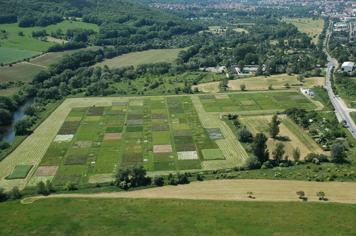 Das Jena Experiment beweist aufgrund seiner Breite erstmals, dass ein Verlust der Artenvielfalt negative Konsequenzen für viele einzelne Komponenten und Prozesse in Ökosystemen hat. (Foto: Das Jena Experiment)