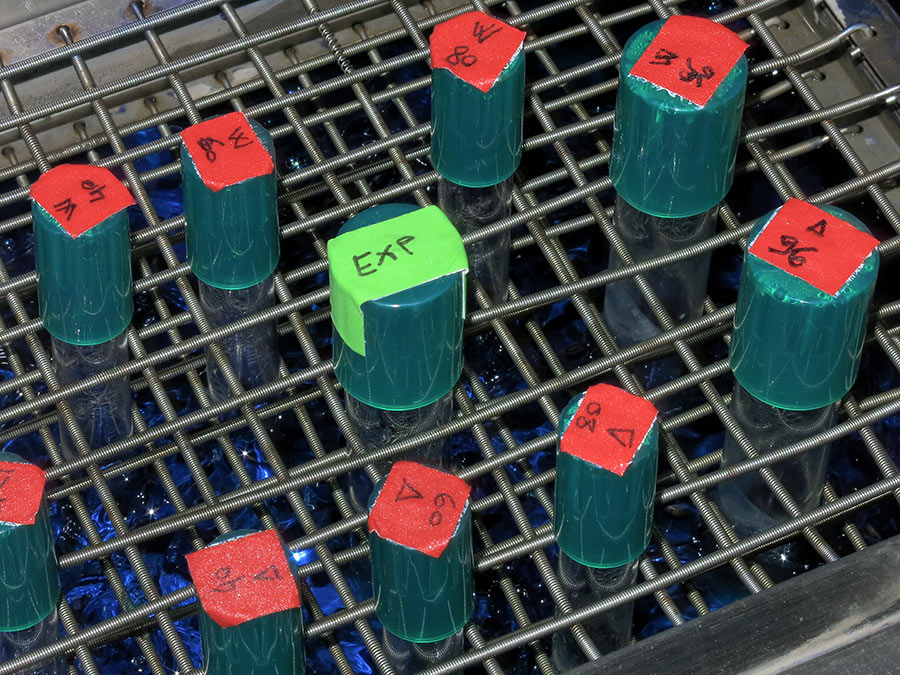 Bakterienkulturen im Temperierbad. Reaktionen auf ein wechselndes Nährstoffangebot ermöglichen Rückschlüsse auf deren Regulierung. (Foto: Johannes Wiedersich / TUM)
