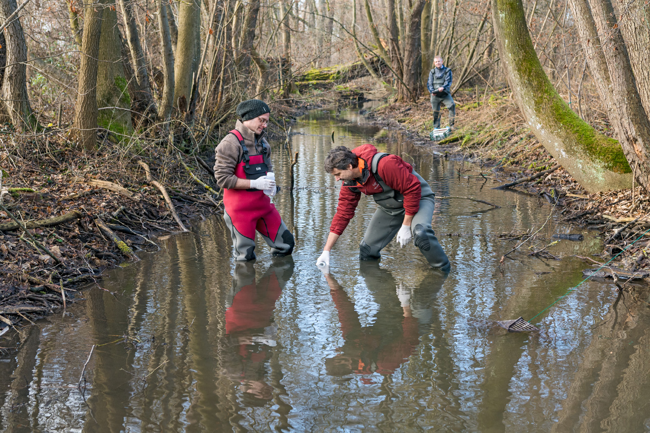 Environmental DNA analysis makes it possible to detect aquatic organisms without having to catch them: Bernhard Stoeckle (right) fetches a water bottle with liquid from a stream. On the left next to him Sebastian Beggel, while Prof. Jürgen Geist is waiting for the rehearsals. (Photo: A. Heddergott/ TUM)