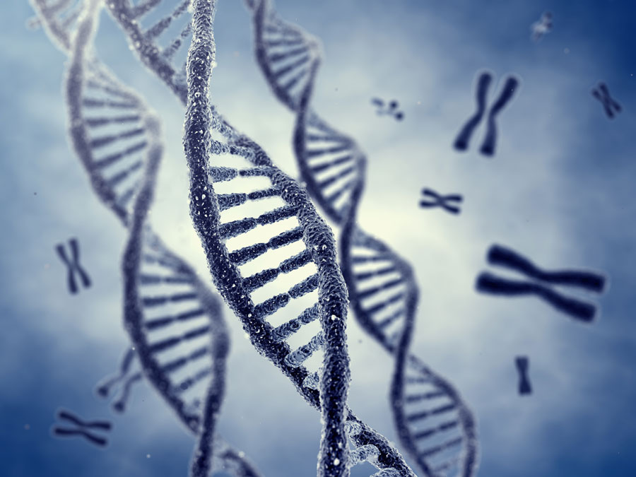 An ERC grant project is investigating chromosomes. (Image: nobeastsofierce / Fotolia)