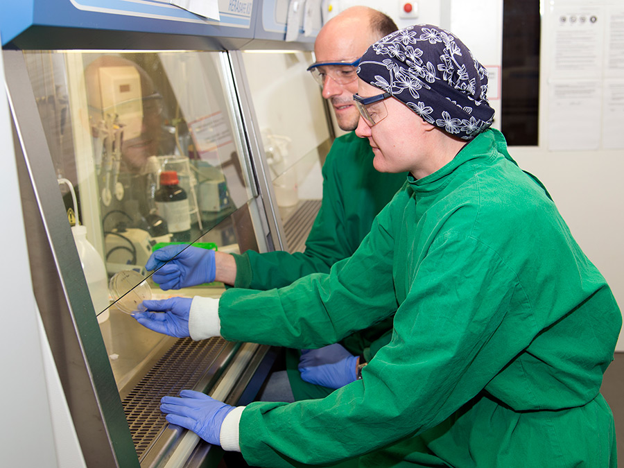 Prof. Stephan A. Sieber and Dr. Sabine Schneider in the laboratory of the Chair of Organic Chemistry II at the Technical University of Munich. (Image: A. Battenberg / TUM)