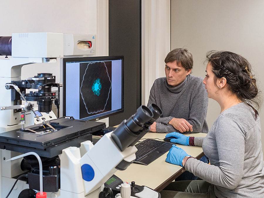 First author Aurore Dupin and Prof. Friedrich Simmel at the fluorescence microscope. (Image: U. Benz / TUM)