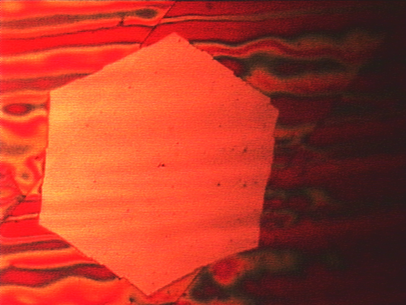 Mit bloßem Auge erkennbar: Ein hauchdünner Graphen-Flake, der durch Chemical Vapor Deposition gewonnen wurde. Die rote Färbung der Kupferunterlage entsteht, wenn die Probe an Luft erhitzt wird. (Foto: J. Kraus/ TUM)