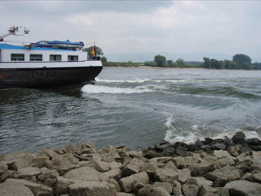 River banks are often reinforced to facilitate shipping. These reinforcements also protect fish against the waves from passing ships, thus creating the perfect conditions for invasive species.