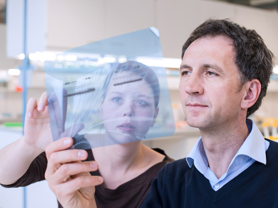 Prof. Jürgen Ruland (rechts) erforscht mit seiner Arbeitsgruppe unter anderem die Entstehung und Bekämpfung von Lymphomen. (Bild: A. Heddergott / TUM)