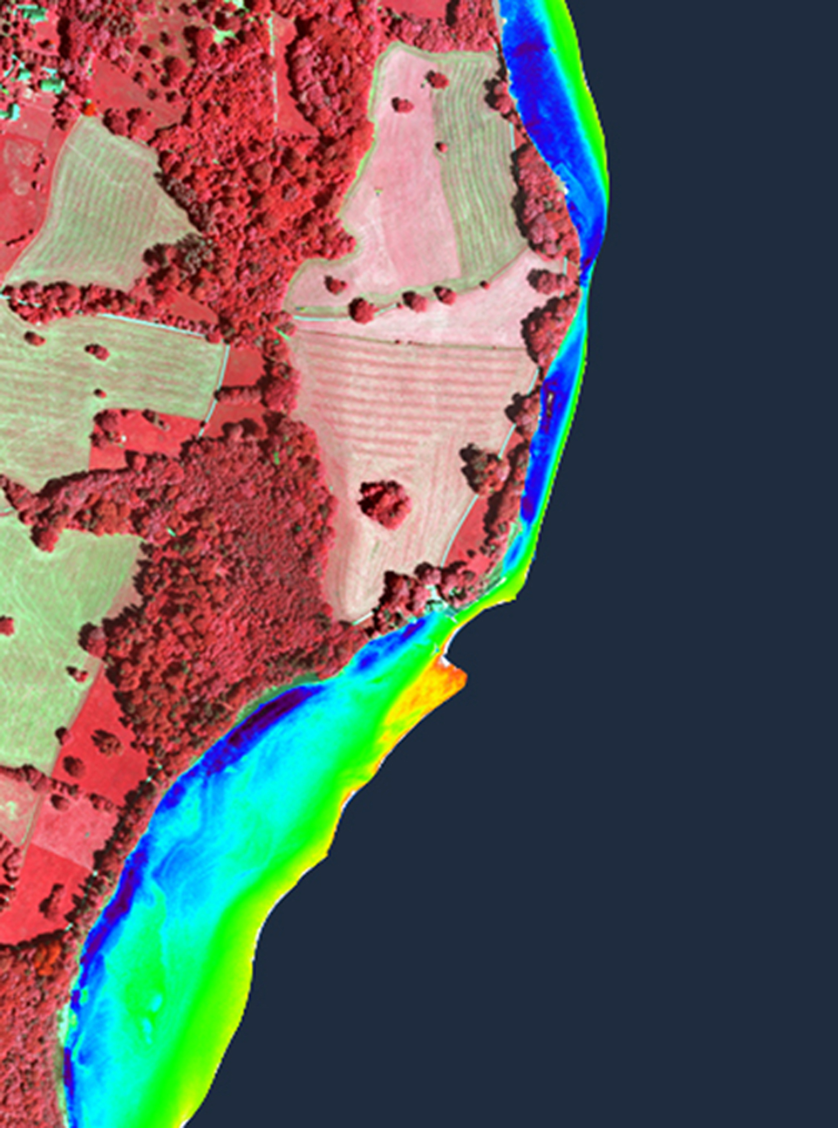 With the help of aerial images – such as this one showing the western shore of Lake Starnberg – scientists are able to track the spread of certain aquatic plants. This information sheds light on the quality of the water (blue: bare sediment; green and yellow: sparse vegetation; dark red: dense vegetation).