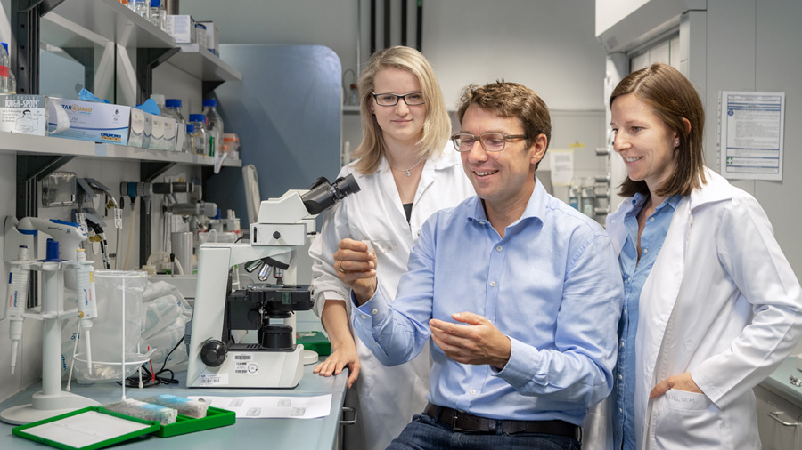 Nicht der Zellstress allein führt zum Tumorwachstum, sondern die Zusammenarbeit von Stress und Mikrobiota, fand Prof. Dirk Haller mit seinem Team heraus – hier bei der Analyse von Gewebeschnitten mit den Wissenschaftlerinnen Sandra Bierwirth (li.) und Olivia Coleman. (Bild: A. Heddergott/ TUM)