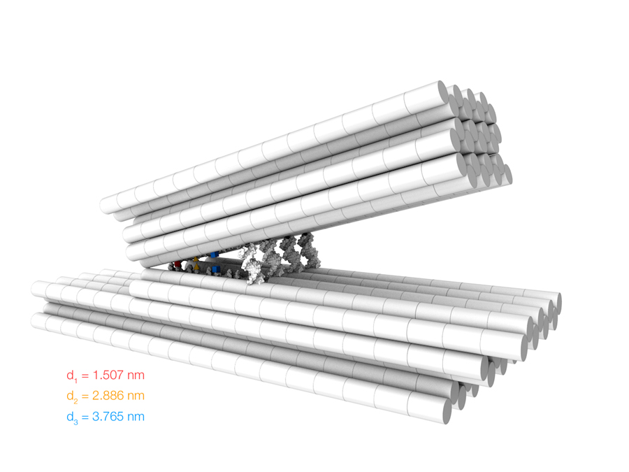 Molecular manipulator made from DNA. Dietz Lab/TUM