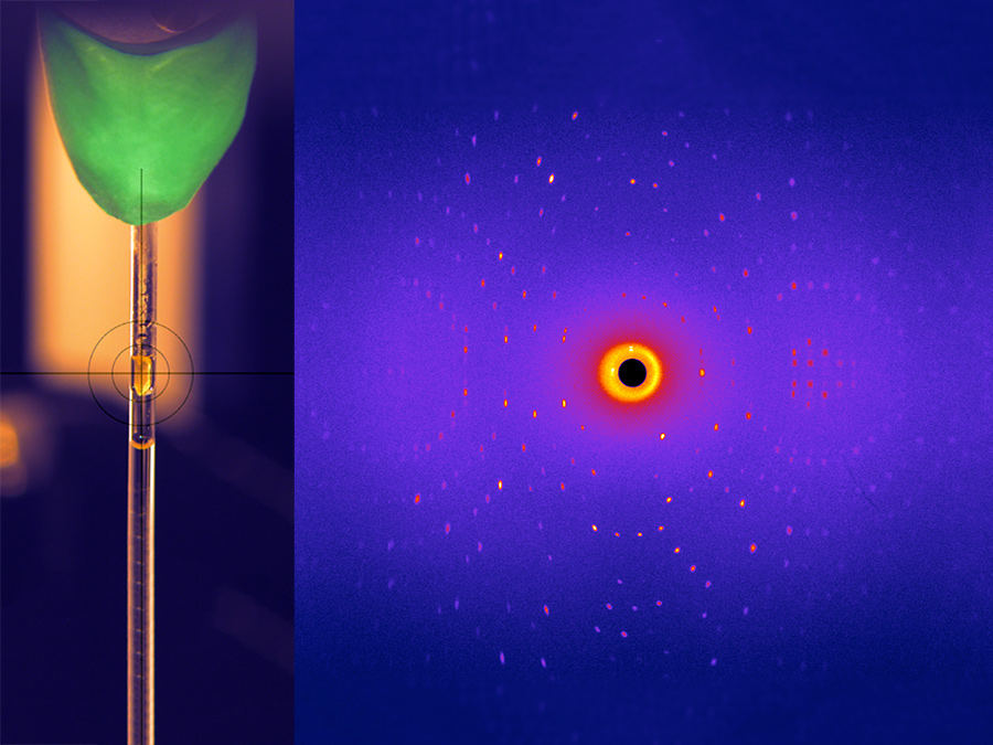 Glycosidase crystal (left) with a typical diffraction image resulting from neutron scattering at the BioDiff instrument. - Image: TUM Glycosidase crystal (left) with a typical diffraction image resulting from neutron scattering at the BioDiff instrument. - Image: TUM