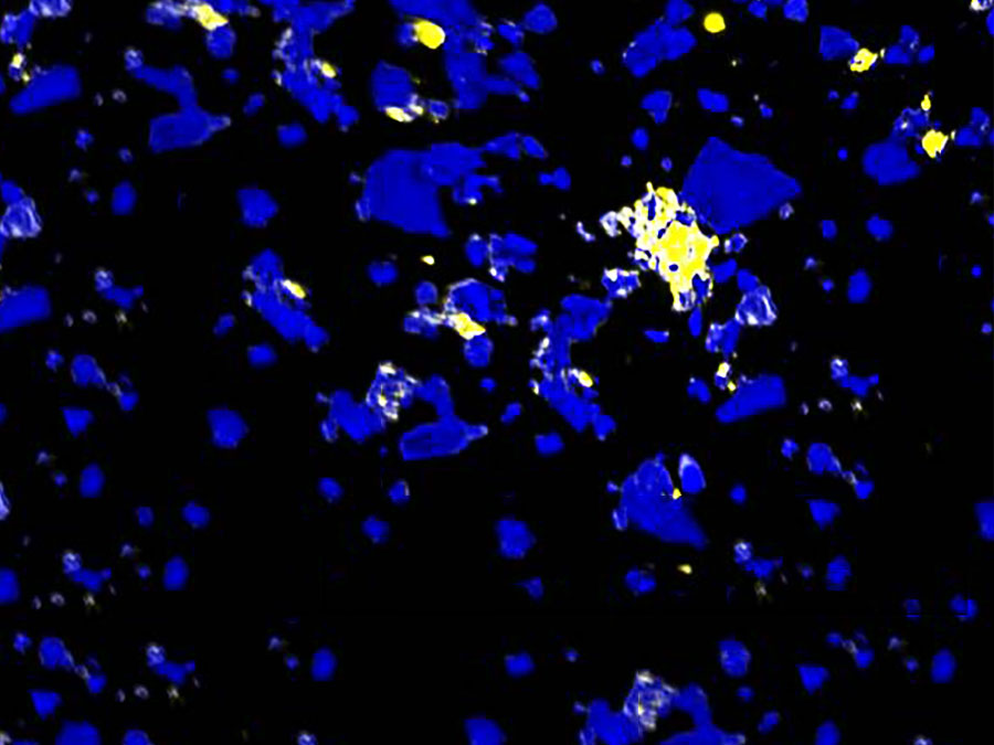 Verteilung der organischen Substanz im Boden: Kohlenstoff reichert sich bevorzugt an bestimmten rauen Mineraloberflächen an, so genannten Hot Spots (gelbe Färbung).