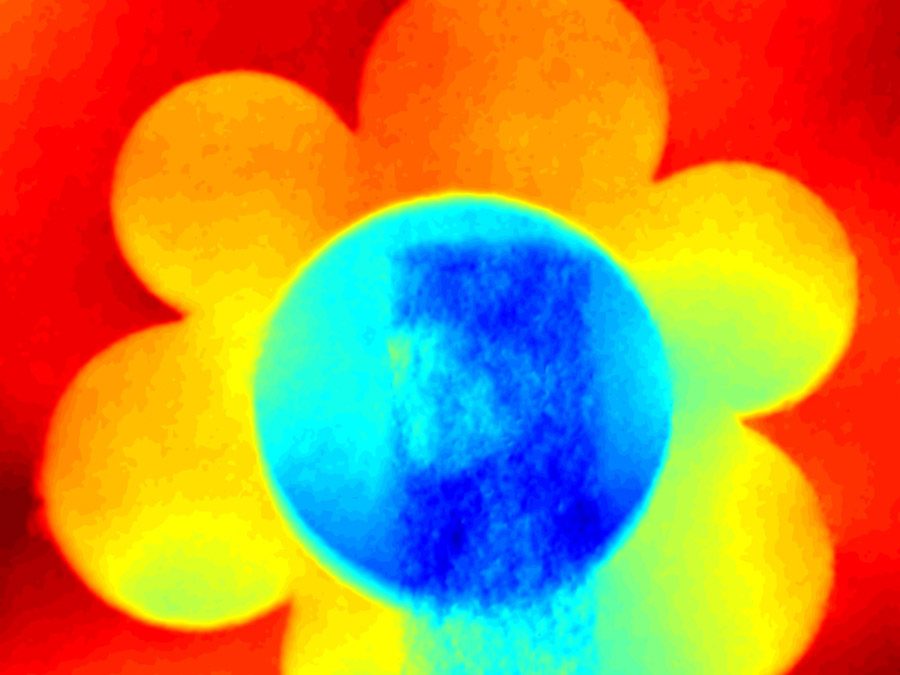 Eine Plastikblume diente den Wissenschaftlern als Mikroskopierobjekt. (Bild: I. Zanette/TUM)