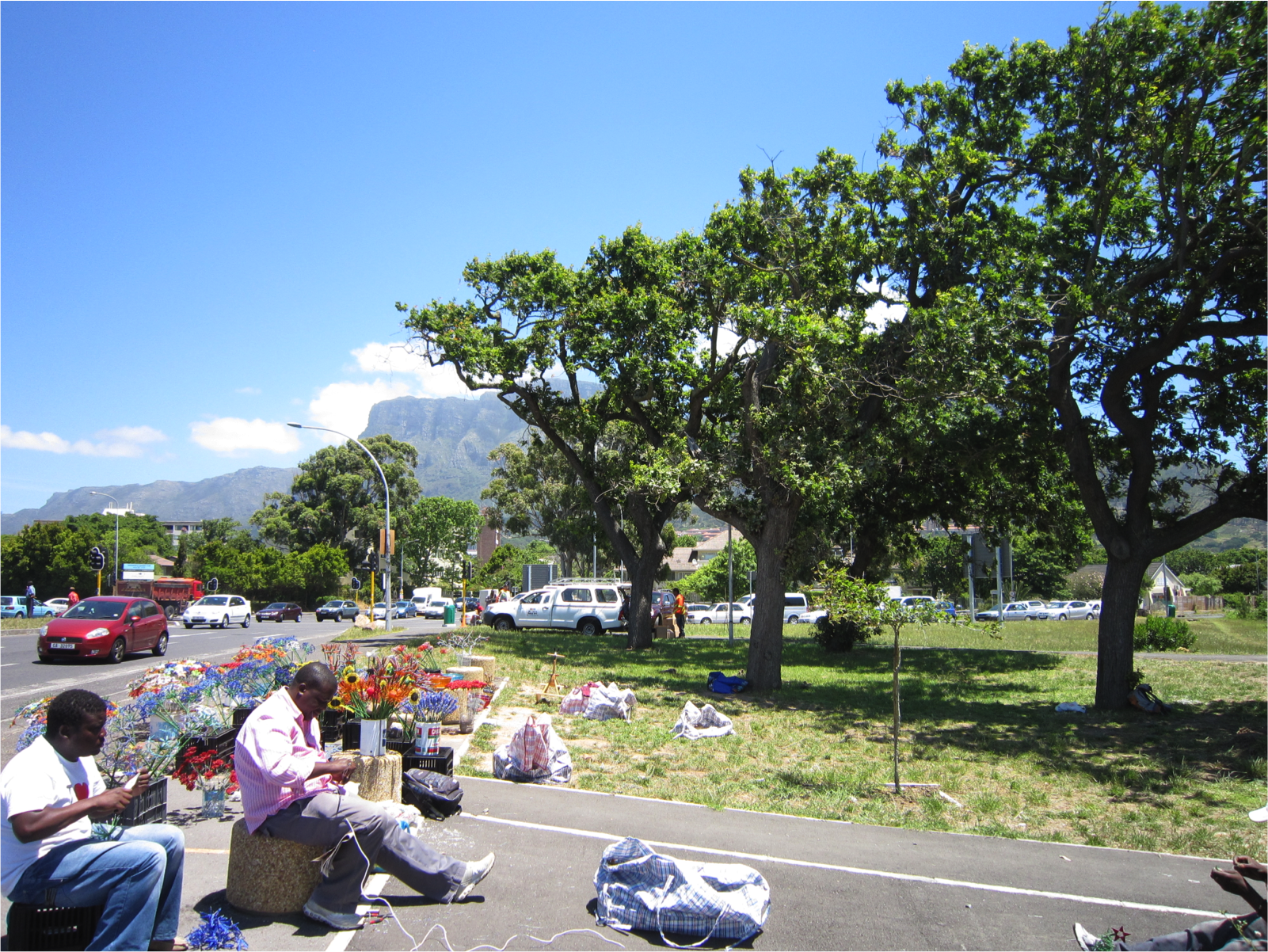 Für die Studie sind Proben von Baumkernen aus Metropolen wie hier in Südafrikas Hauptstadt Kapstadt genommen und analysiert worden. (Foto: TUM)