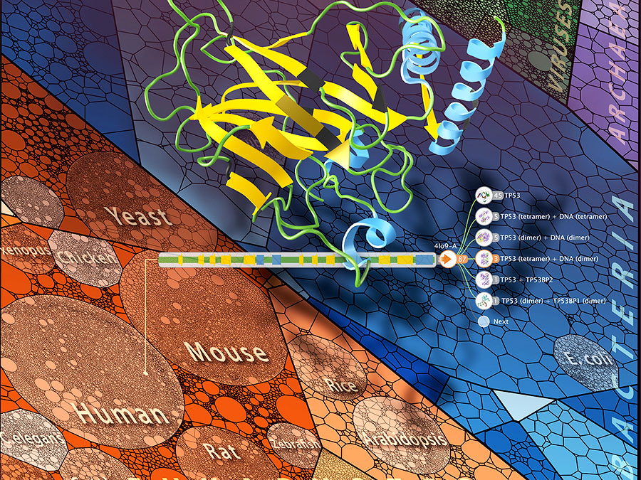 The "Aquaria" database provides information on proteins.