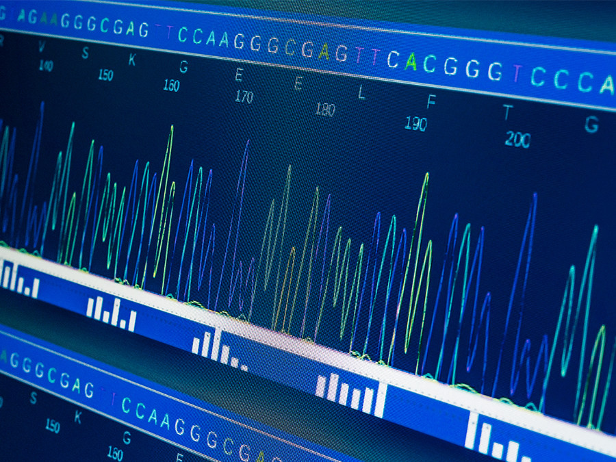 Durch die Einzelzell-RNA-Sequenzierung lässt sich herausfinden, welche DNA-Abschnitte für die Bildung einer Zelle aktiv werden. (Bild: iStockphoto.com / D-Keine)