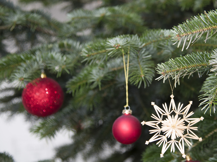 Weihnachtsbaum in der Fakultät für Maschinenwesen