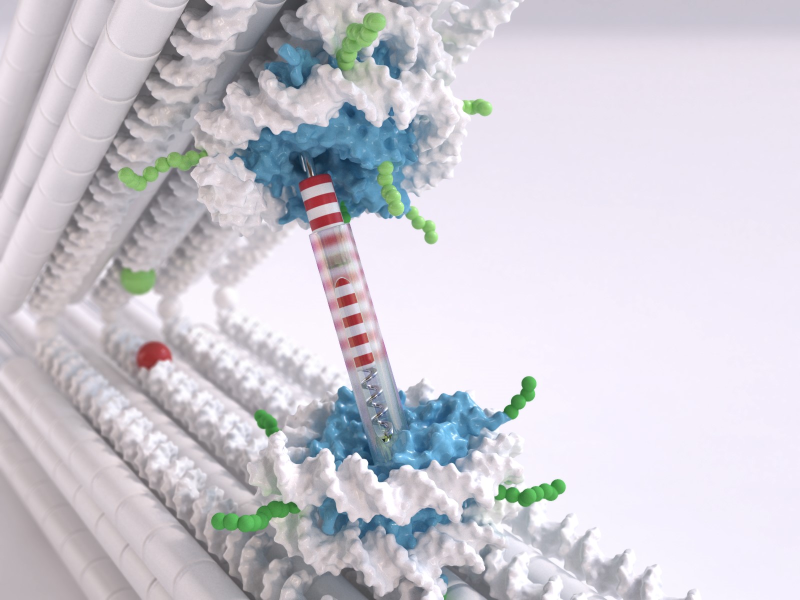 Die Pinzetten-Struktur besteht aus zwei starren DNA-Balken, die durch ein Gelenk verbunden sind.