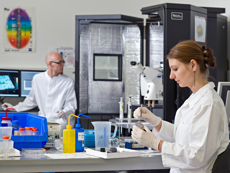 Two young researchers in a laboratory.