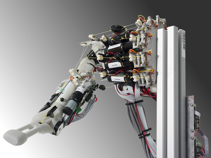 Eccerobot, ein Prototyp für neurorobtische Systeme, wie sie zur Überprüfung der im Human Brain Project entwickelten Modelle eingesetzt werden sollen. Bild: TUM