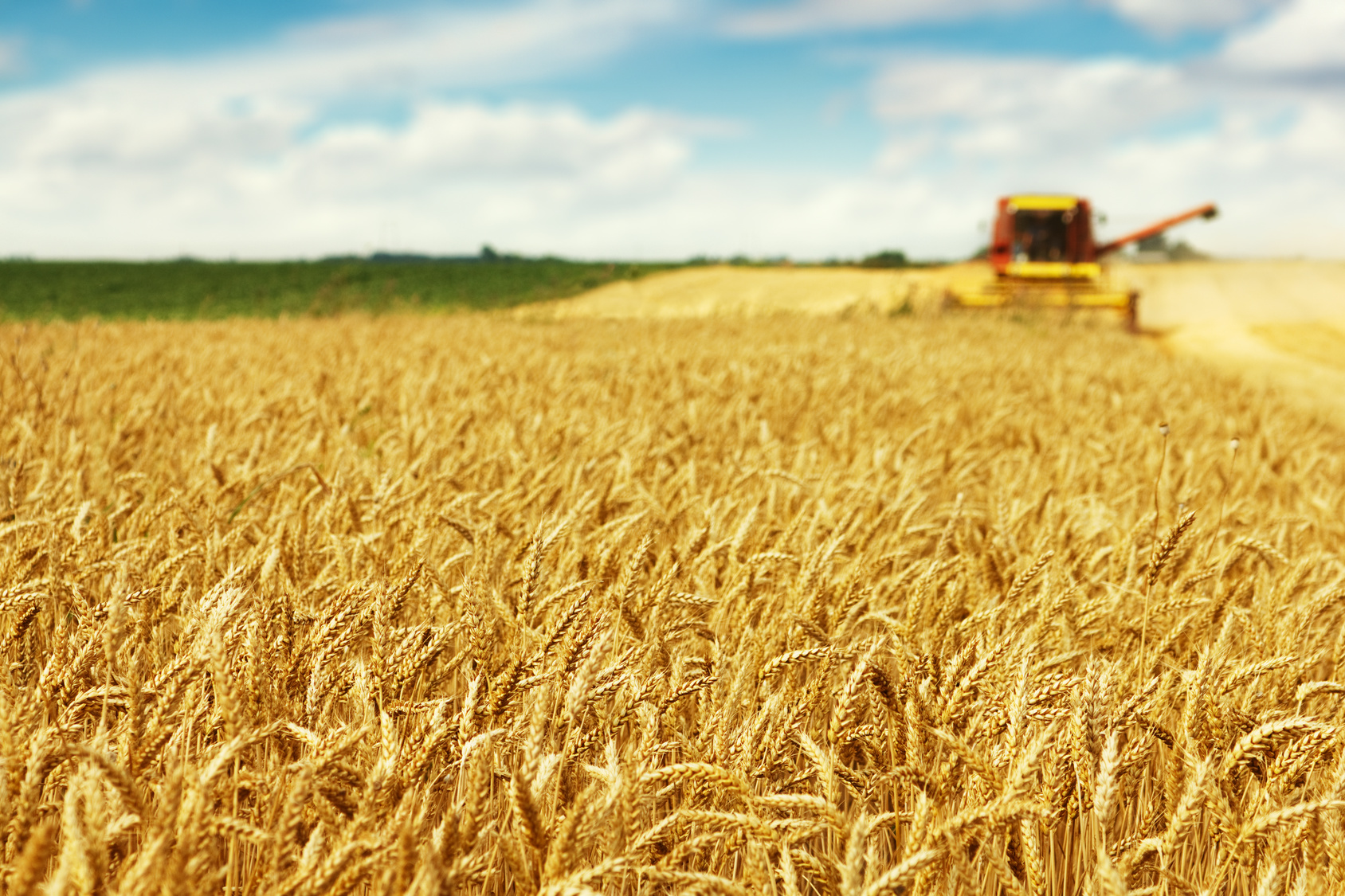 Landwirtschaft und Wasserschutz müssen sich nicht gegenseitig ausschließen. (Foto: Dickov / Fotolia)