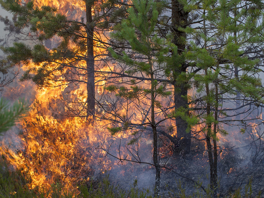 Wissenschaftler der TUM untersuchen in einer Studie die Waldbrandgefahr in Bergwäldern. (Foto: Viesinsh / fotolia.com)